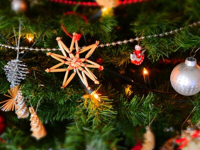 Harrisburg Senators' Winterfest