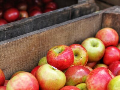 New Cumberland's 36th Annual Apple Festival